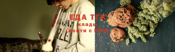 СК Алексин