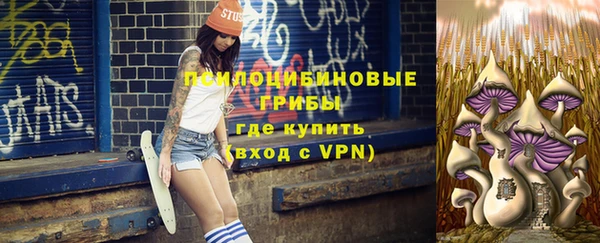 гашик Абдулино