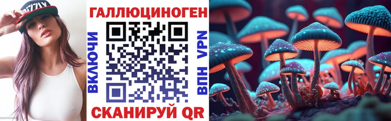 darknet состав  Камбарка  Псилоцибиновые грибы Psilocybe 